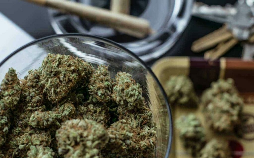 Premium edibles vs Affordable Weed | BC Weed Edible Canada