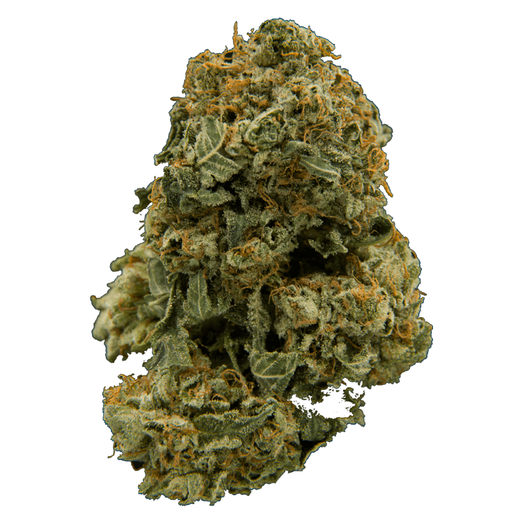 Iced Widow – 1 Ounce | BC Weed Edible Canada Iced Widow – 1 Ounce | BC Weed Edible Canada