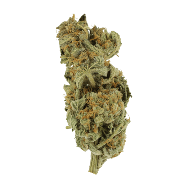 Gorilla Glue | BC Weed Edible Canada