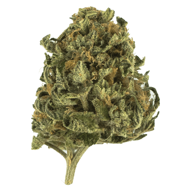 Apple Jack | BC Weed Edible Canada Apple Jack | BC Weed Edible Canada