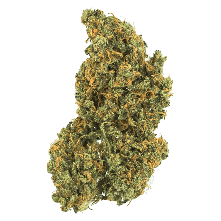 Citrus Sap | BC Weed Edible Canada Citrus Sap | BC Weed Edible Canada