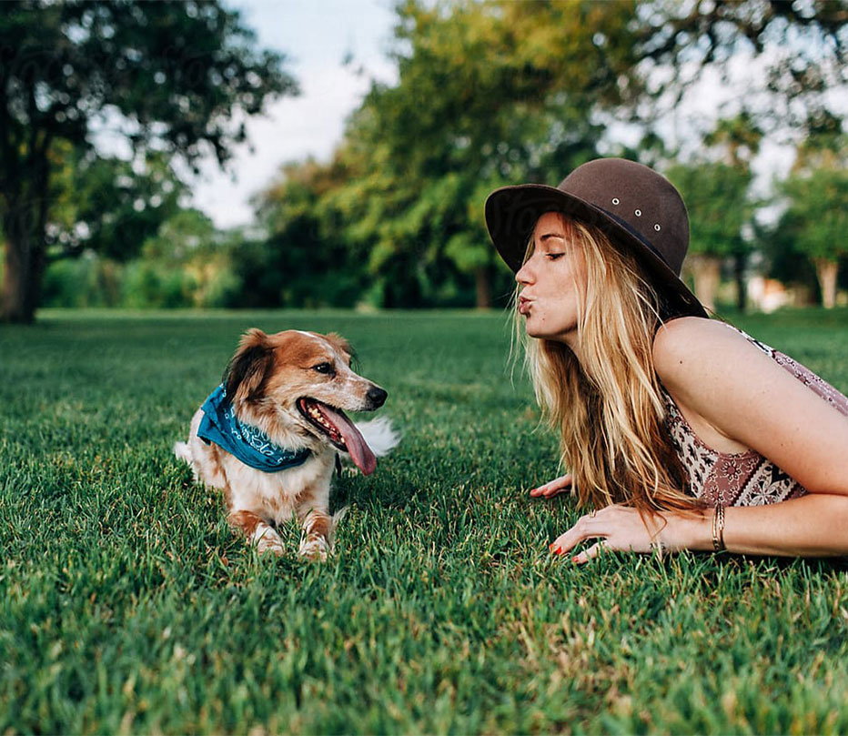 Referral Program | BC Weed Edible Canada