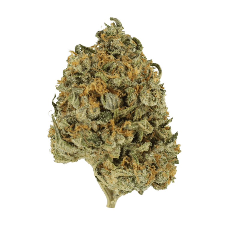 Banana Punch | BC Weed Edible Canada Banana Punch | BC Weed Edible Canada