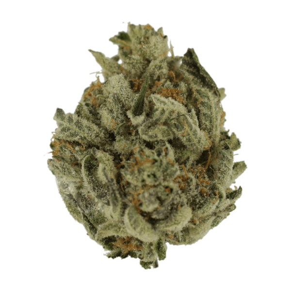 Biscotti Sundae | BC Weed Edible Canada Biscotti Sundae | BC Weed Edible Canada