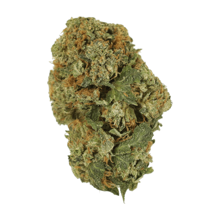 Dank Schrader | BC Weed Edible Canada Dank Schrader | BC Weed Edible Canada