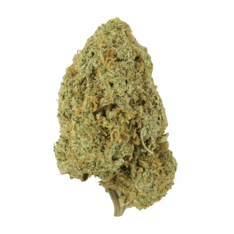 Sugar Pine | BC Weed Edible Canada Sugar Pine | BC Weed Edible Canada