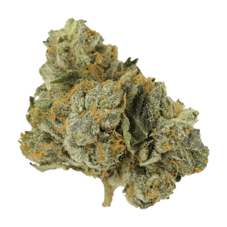 Mango Cream | BC Weed Edible Canada Mango Cream | BC Weed Edible Canada