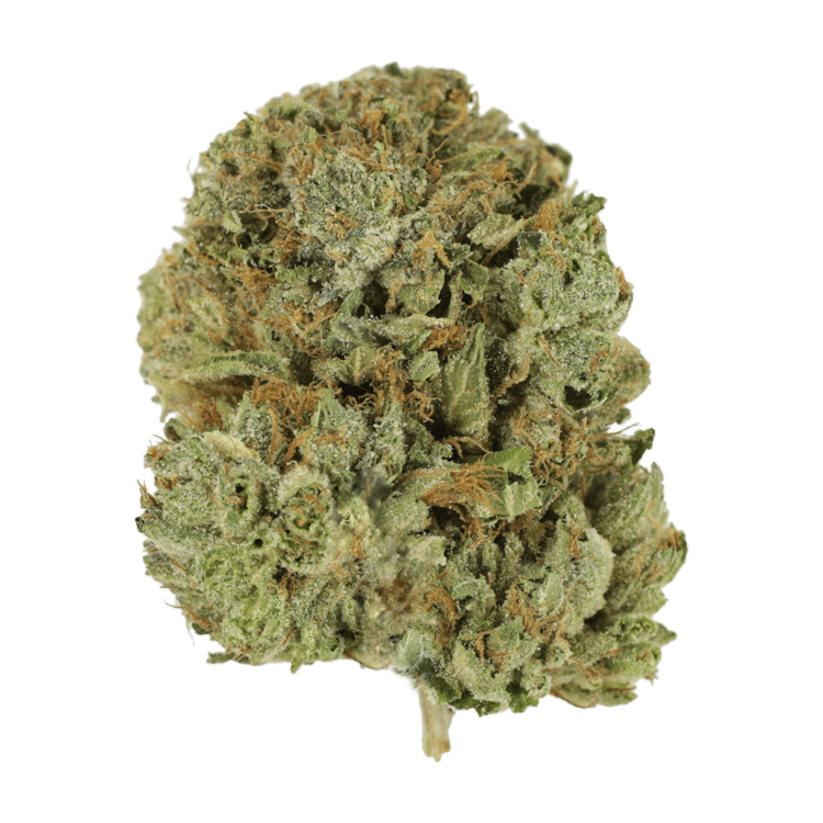 Pink Taco | BC Weed Edible Canada Pink Taco | BC Weed Edible Canada