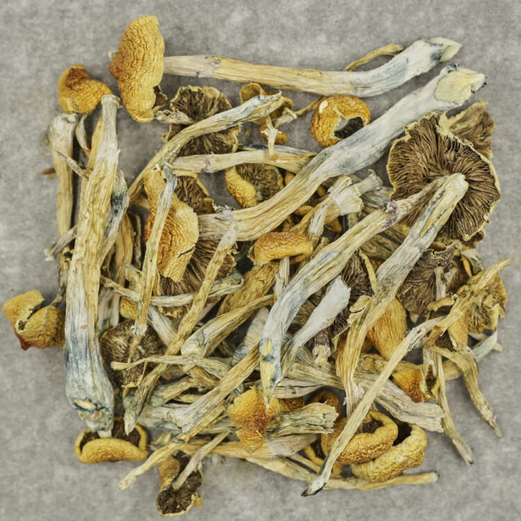 Trinity | BC Weed Edible Canada Trinity | BC Weed Edible Canada