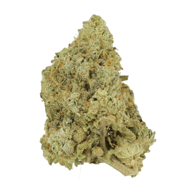 White Fire OG | BC Weed Edible Canada White Fire OG | BC Weed Edible Canada