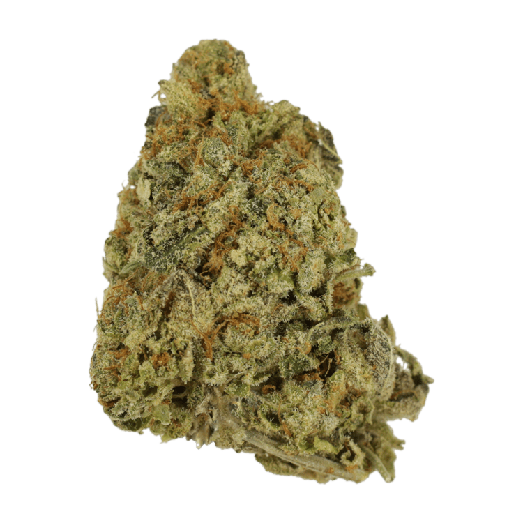 G Whiz | BC Weed Edible Canada G Whiz | BC Weed Edible Canada