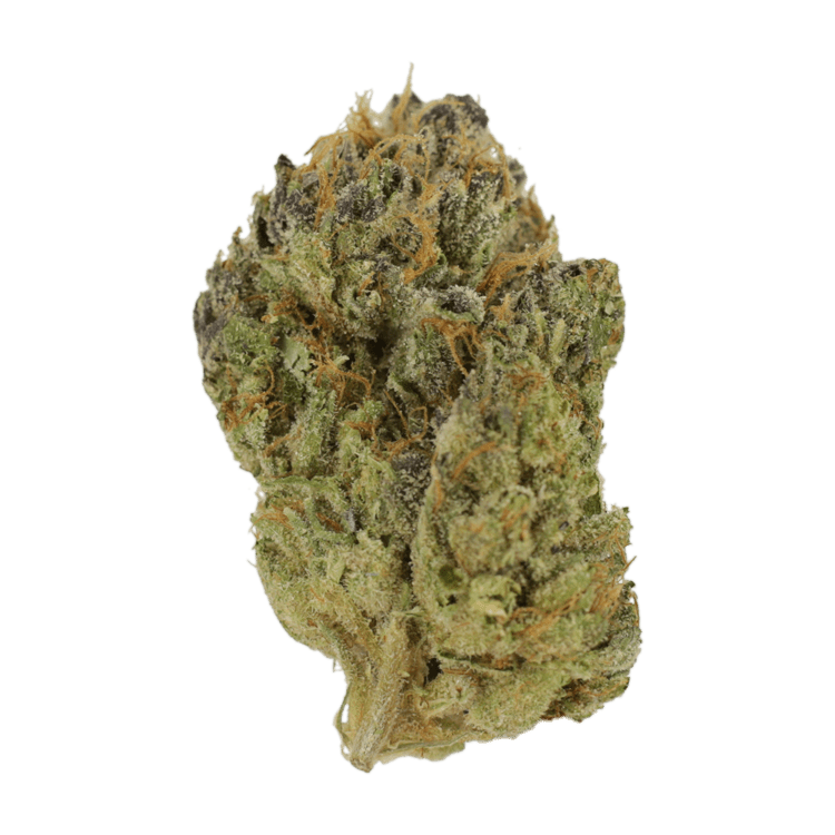 Blueberry Muffin | BC Weed Edible Canada Blueberry Muffin | BC Weed Edible Canada