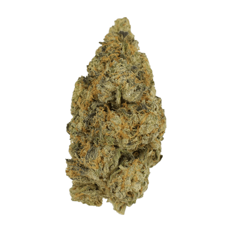 Citrus Funk | BC Weed Edible Canada Citrus Funk | BC Weed Edible Canada