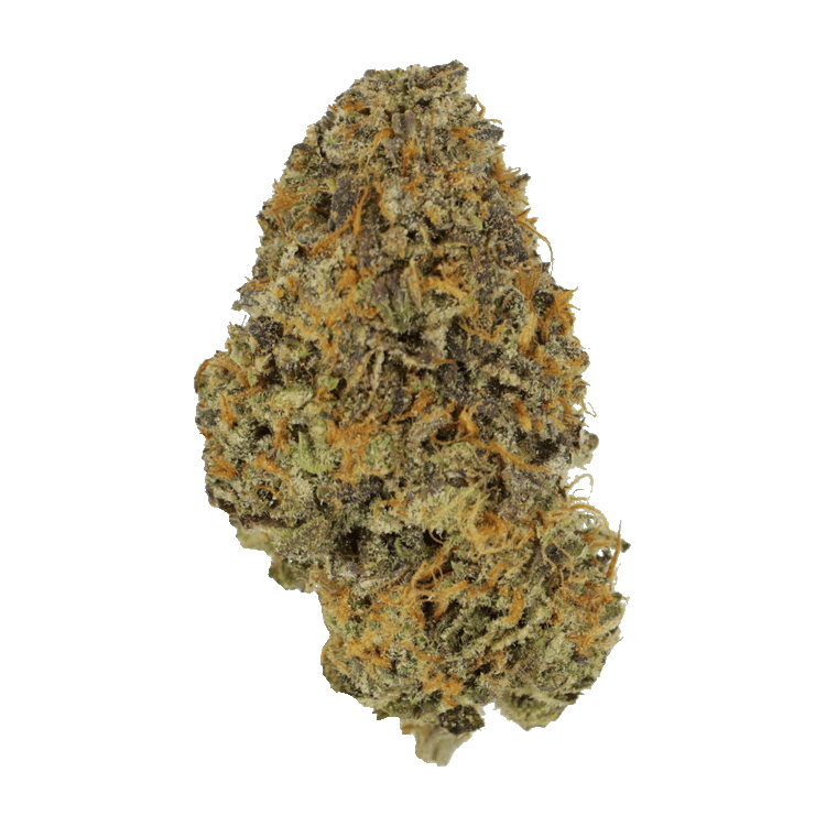 Blackberry Nightmare | BC Weed Edible Canada Blackberry Nightmare | BC Weed Edible Canada