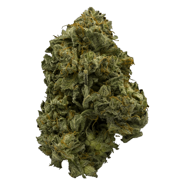 Pink Panties | BC Weed Edible Canada Pink Panties | BC Weed Edible Canada